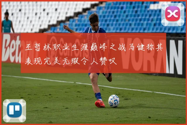 王哲林职业生涯巅峰之战马健称其表现完美无瑕令人赞叹
