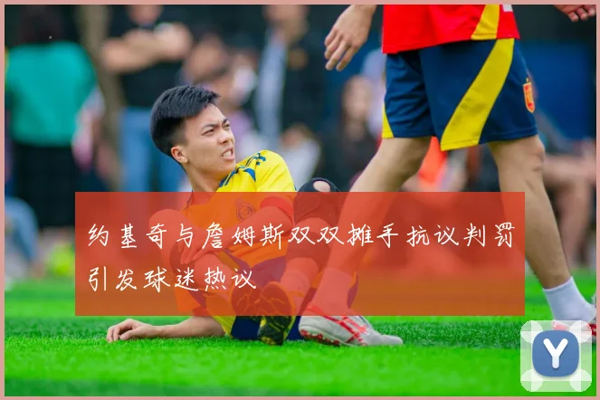 约基奇与詹姆斯双双摊手抗议判罚引发球迷热议